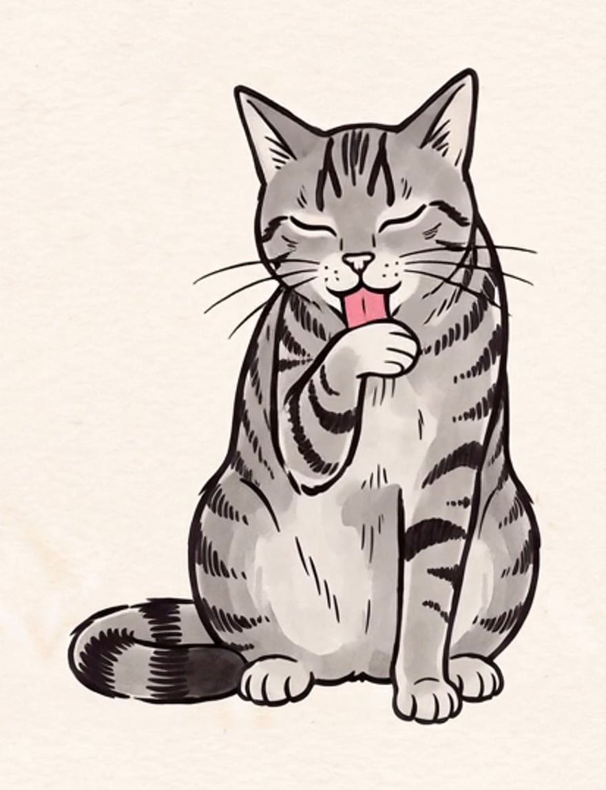 Holmes the cat in ink and grey wash: a grey tabby with dark stripes, sitting up with his eyes closed and washing a front paw, his pink tongue out and his banded tail curled round beside him.